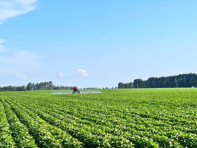 北大荒集團育種培&ldquo;芯&rdquo;打好種業&ldquo;翻身仗&rdquo;