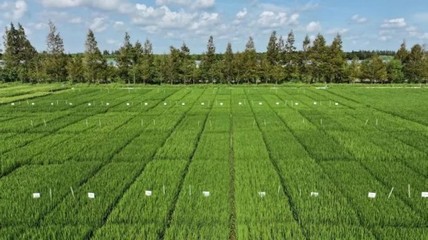 光明農發(fā)集團聚焦種業(yè)創(chuàng)新,打造長三角未來種業(yè)發(fā)展策源地
