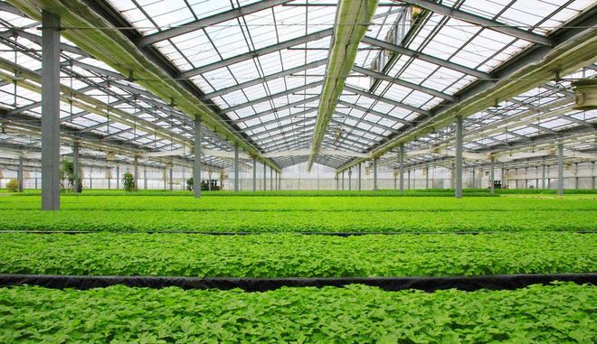 種業商務網 現代種業發展的數字化引擎